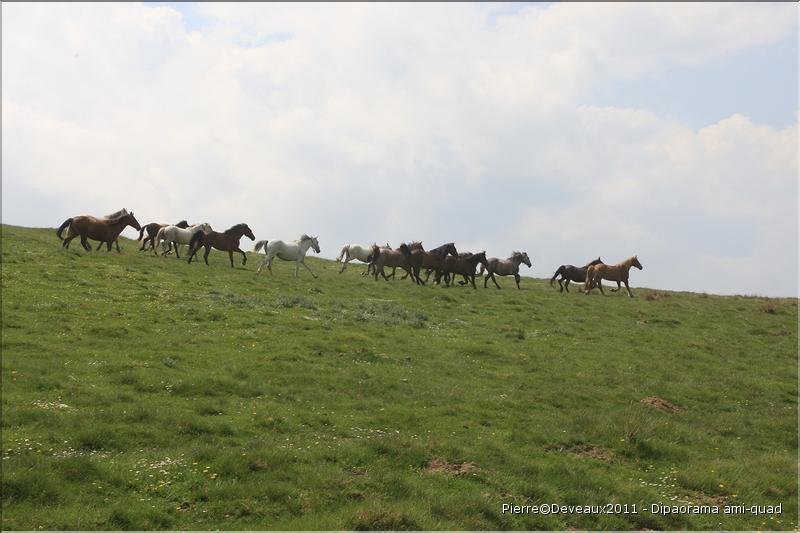 RAID-TRANSYLVANIE-2011-221Â©Pierre.Devaux