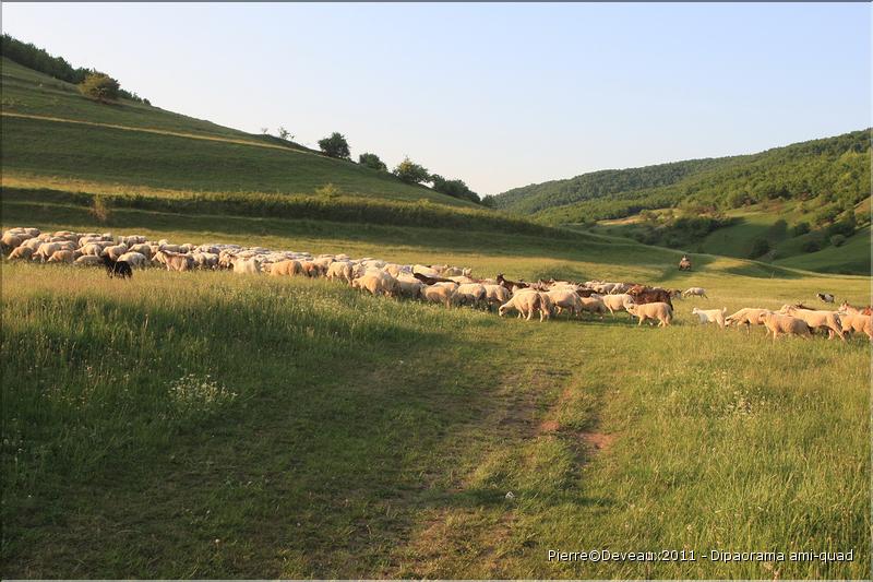 RAID-TRANSYLVANIE-2011-247Â©Pierre.Devaux